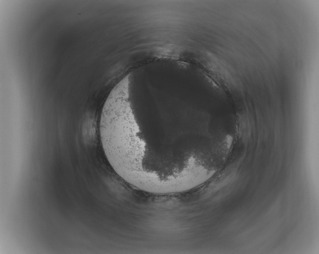 X0000111831154200908061150