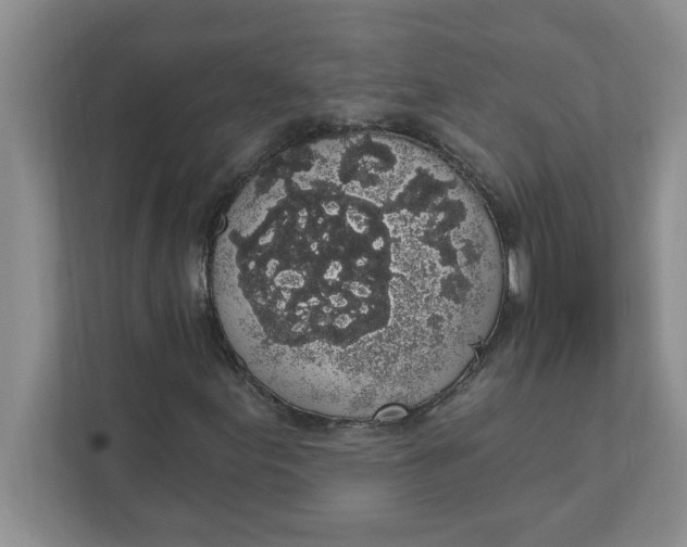 X0000111831155200908061150