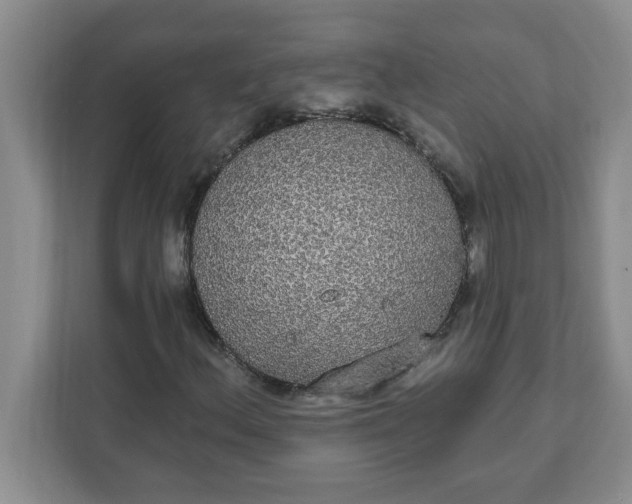 X0000111831156200908061150