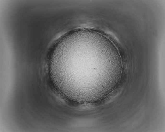 X0000111831159200908061150