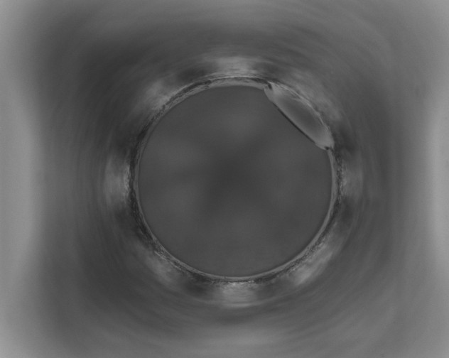 X0000111831161200908061150