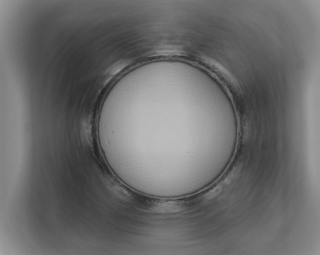X0000111831162200908061149