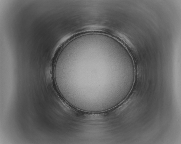 X0000111831164200908061149