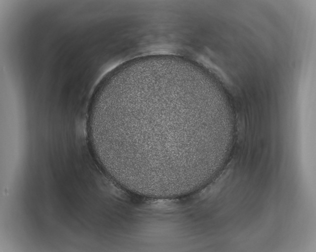 X0000111831166200908061149
