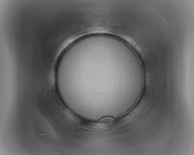 X0000111831167200908061149