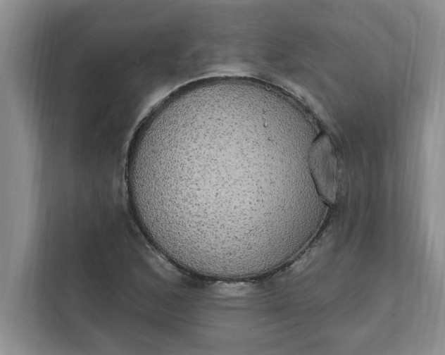 X0000111831168200908061149