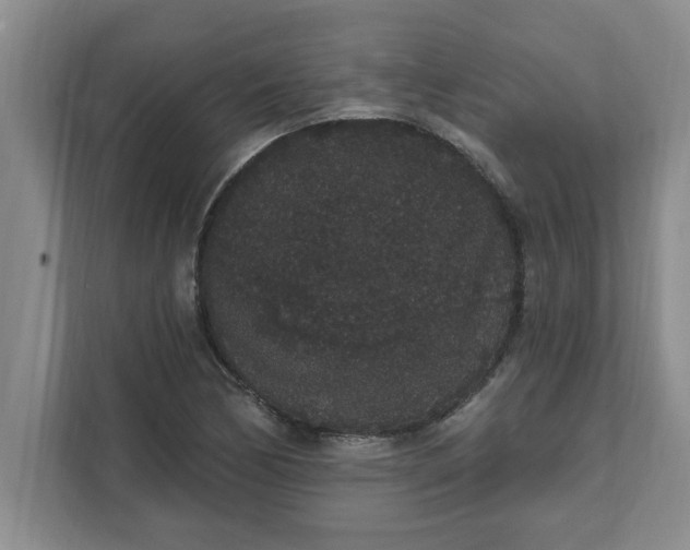 X0000111831170200908061149