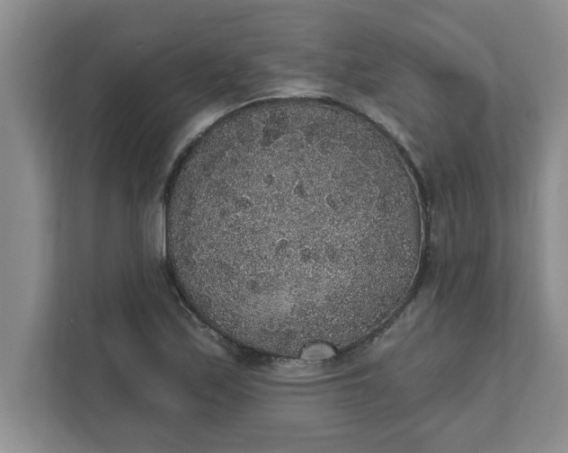 X0000111831171200908061149
