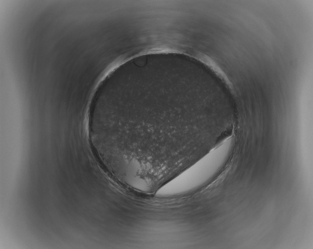 X0000111831173200908061149