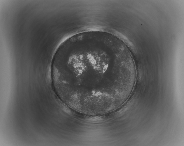 X0000111831174200908061149