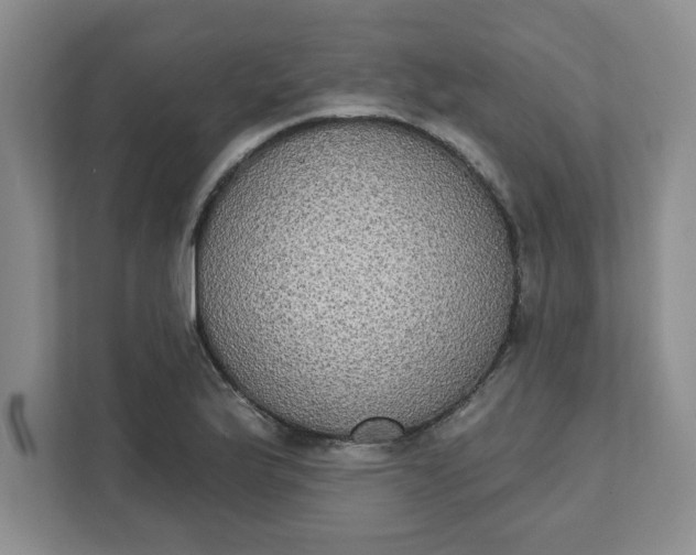 X0000111831175200908061149