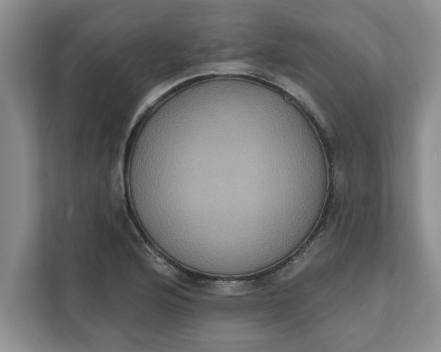 X0000111831176200908061149