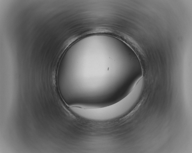 X0000111831177200908061149