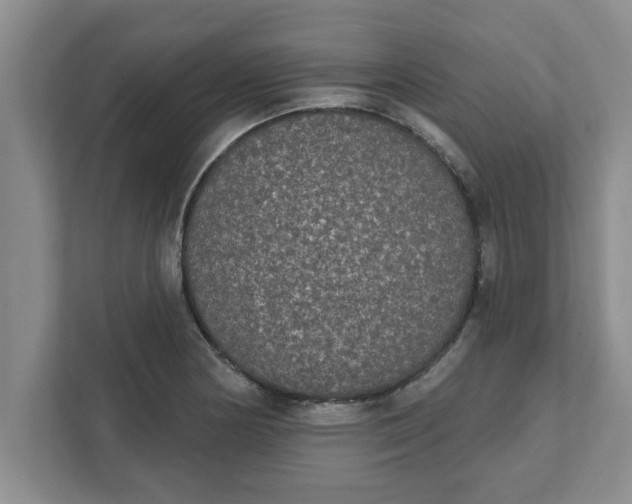 X0000111831178200908061149
