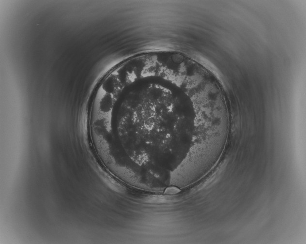 X0000111831179200908061149