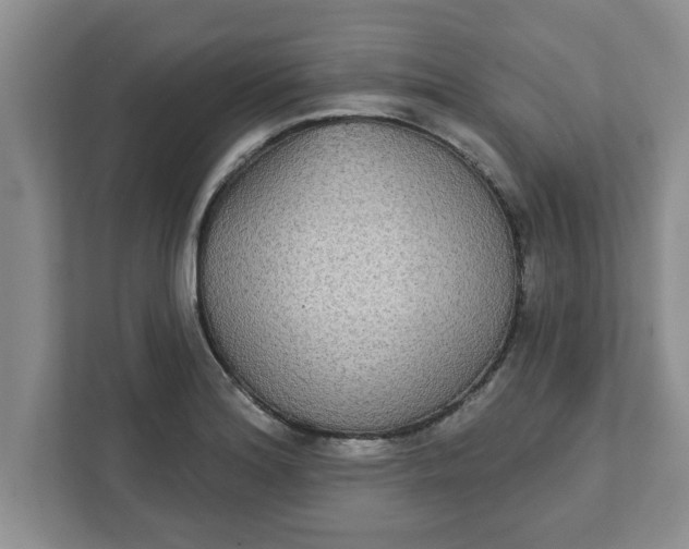 X0000111831180200908061149