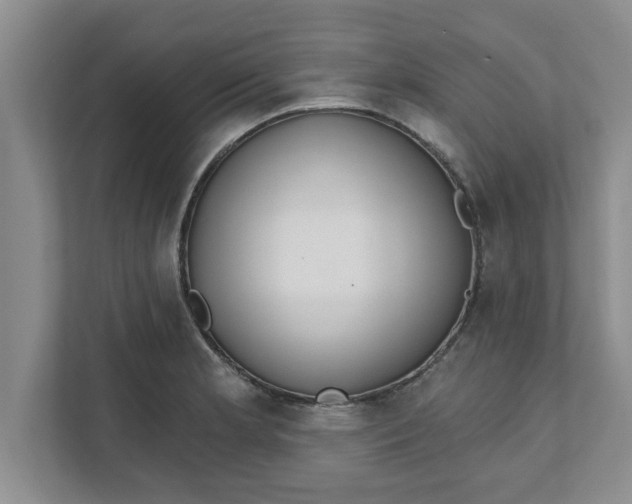 X0000111831181200908061149