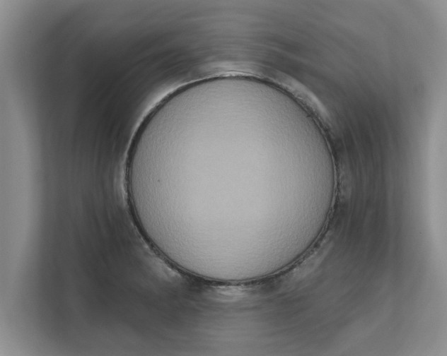 X0000111831182200908061149