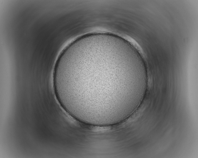 X0000111831183200908061149