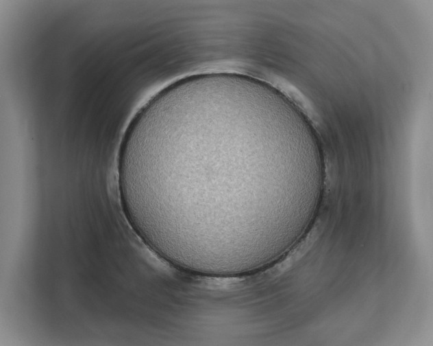 X0000111831184200908061149