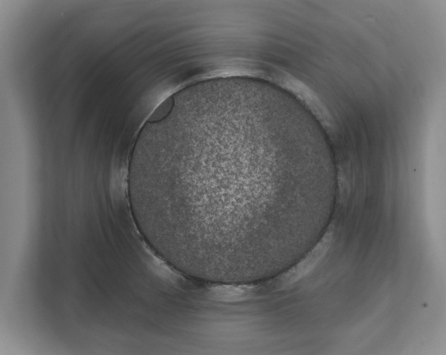 X0000111831185200908061149