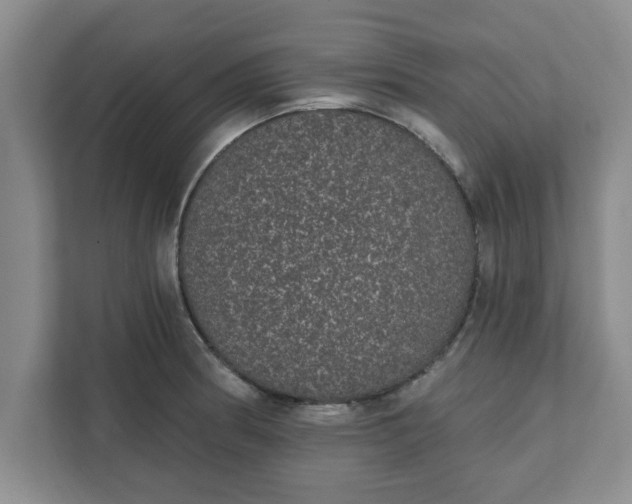 X0000111831186200908061149