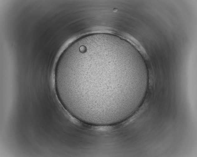 X0000111831188200908061149