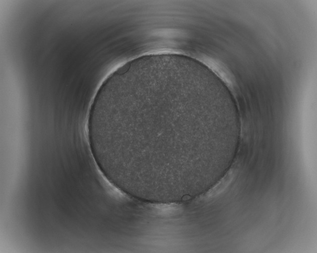 X0000111831189200908061149