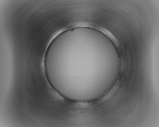 X0000111831190200908061149