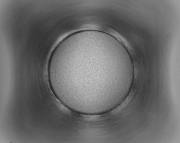 X0000111831192200908061149
