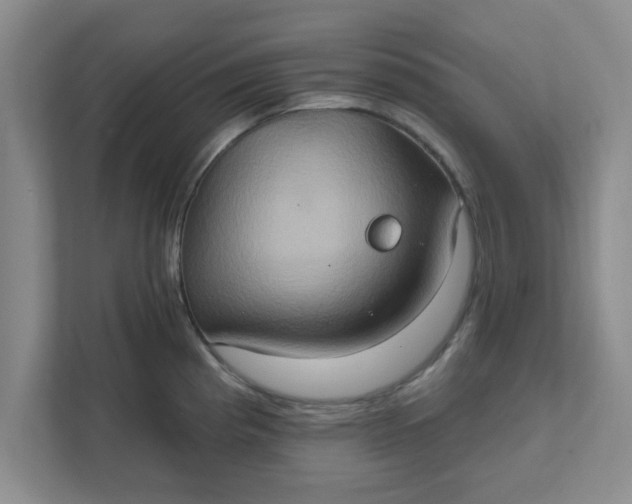X0000111831193200908061149