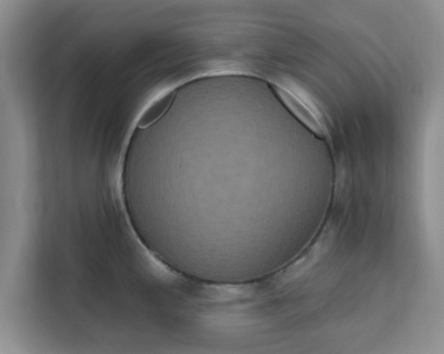 X0000111831197200908061149
