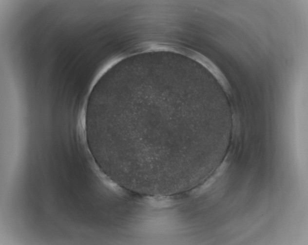X0000111831198200908061149
