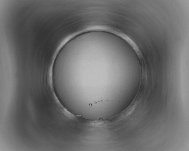 X0000111831199200908061149