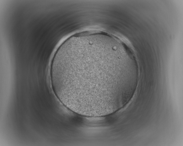 X0000111831200200908061149