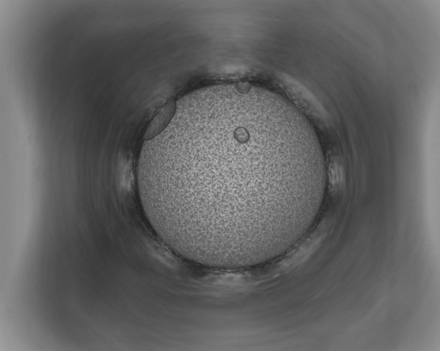 X0000111831204200908061148