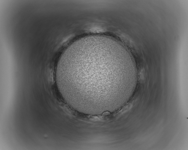 X0000111831205200908061148