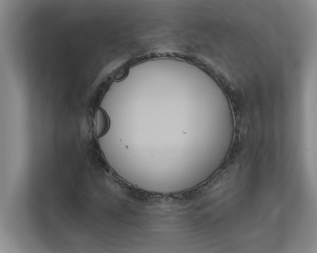 X0000111831207200908061148