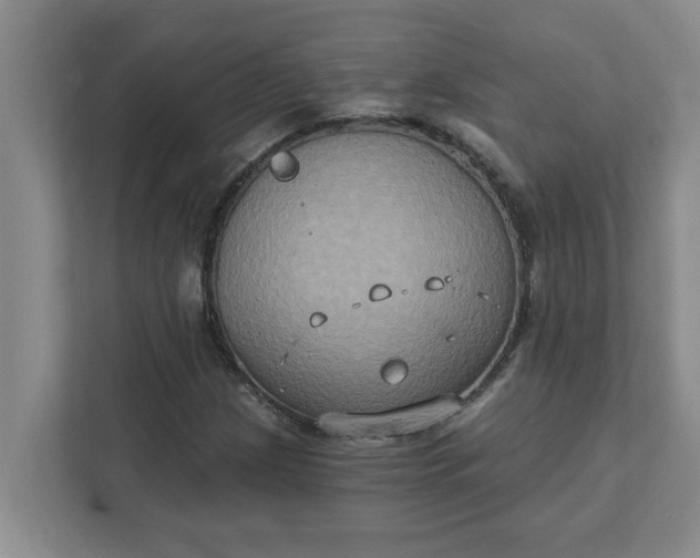 X0000111831209200908061148