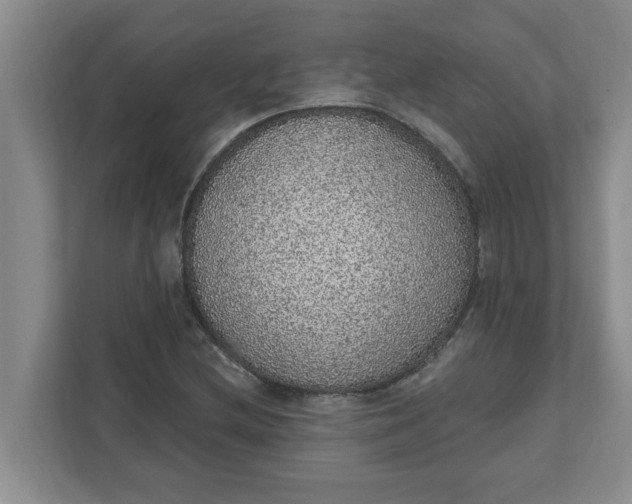 X0000111831212200908061149
