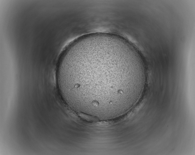X0000111831214200908061149