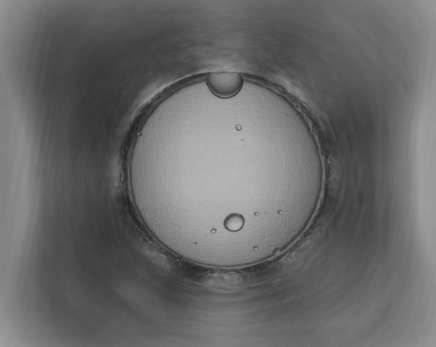 X0000111831215200908061149