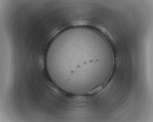 X0000111831217200908061149