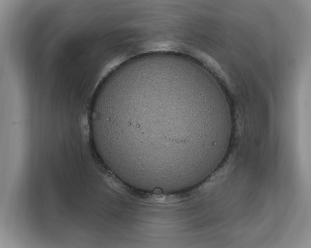 X0000111831218200908061149