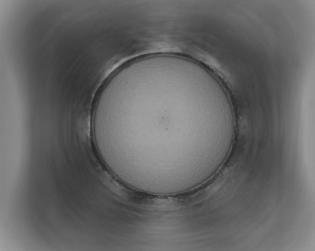 X0000111831220200908061149