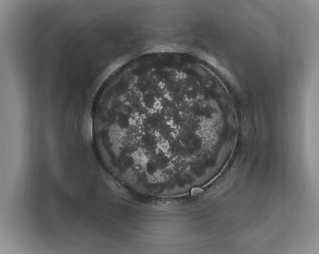 X0000111831221200908061149