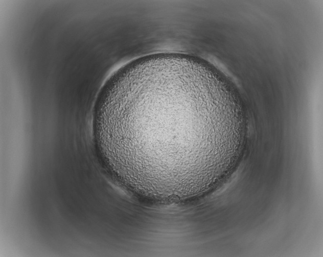 X0000111831222200908061149