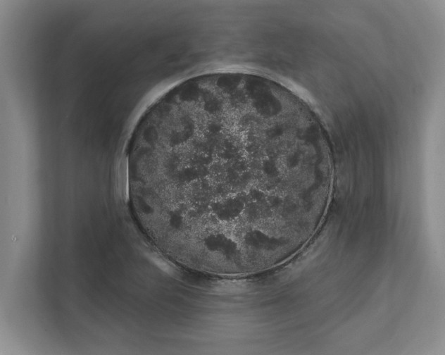 X0000111831223200908061149