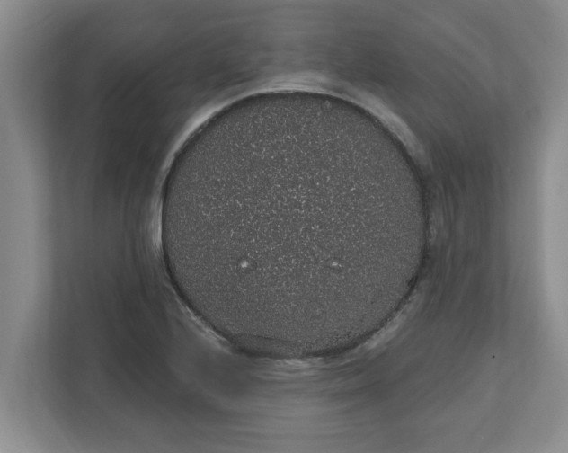 X0000111831224200908061149