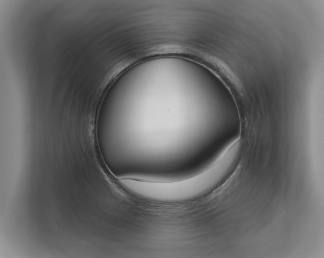 X0000111831225200908061149